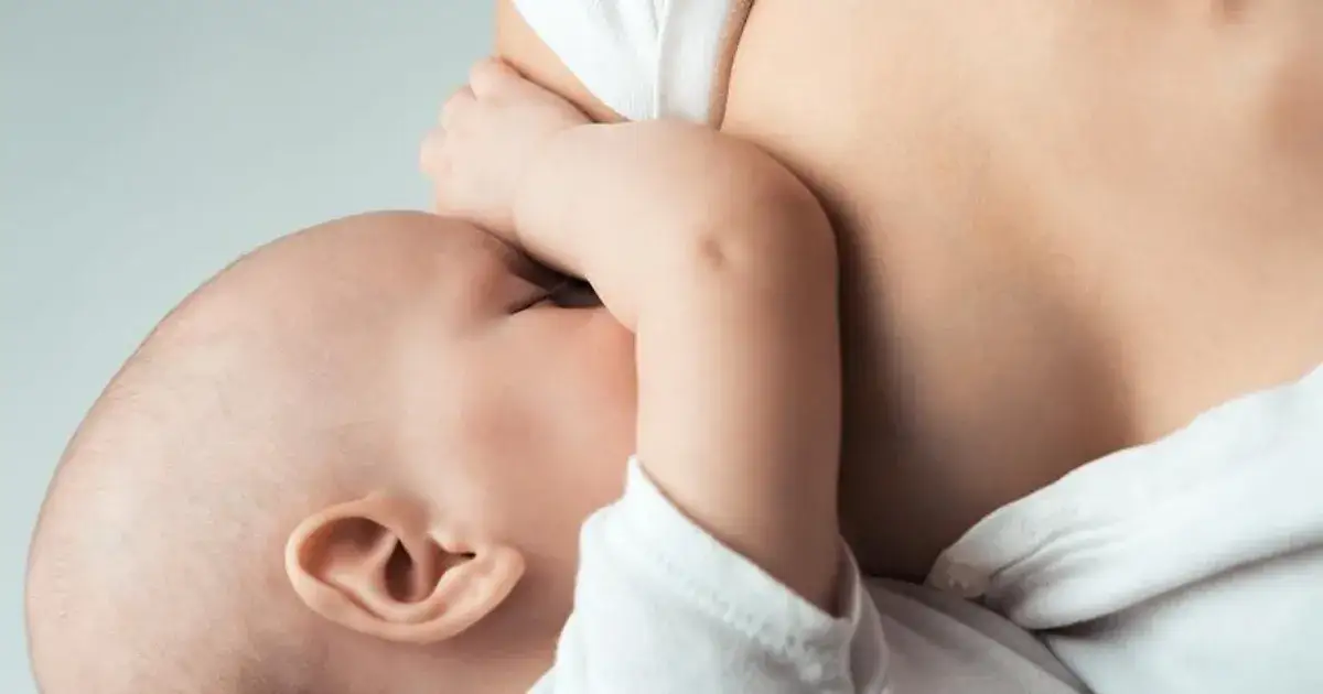 Zdjęcie Maltan czy zmywać przed karmieniem? Odpowiedź, która uspokoi mamy